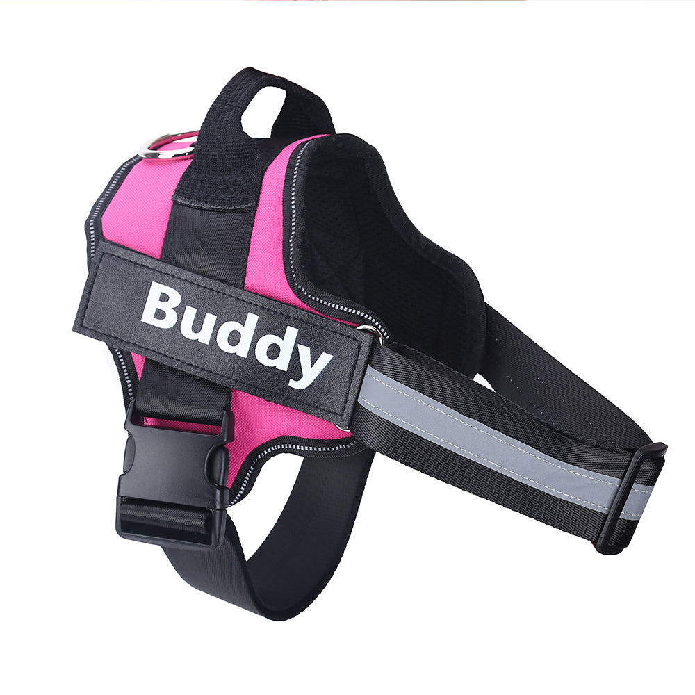 Arnés Personalizado para Perro Pequeños y Grandes