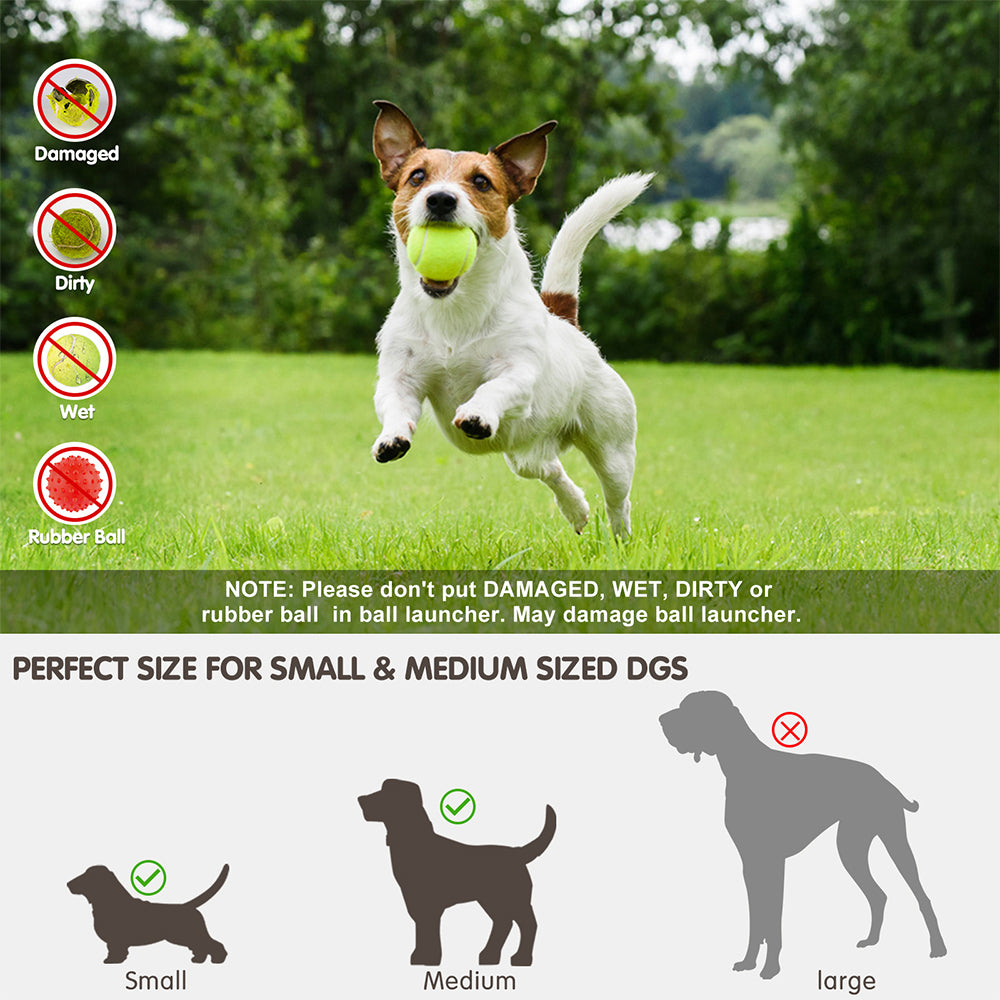 Lanzador Automático de Pelotas para Perros