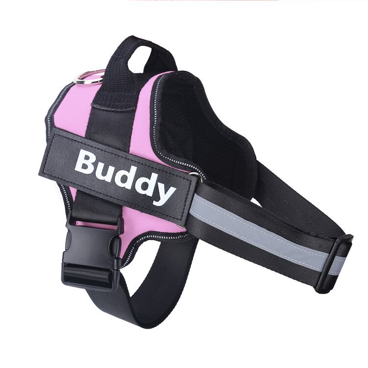 Arnés Personalizado para Perro Pequeños y Grandes
