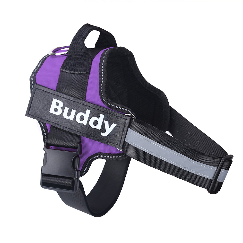 Arnés Personalizado para Perro Pequeños y Grandes
