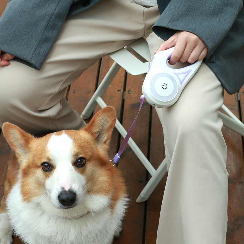 "Correa Retráctil Automática con Luz LED + Collar | Perros y Gatos Pequeños Medianos"
