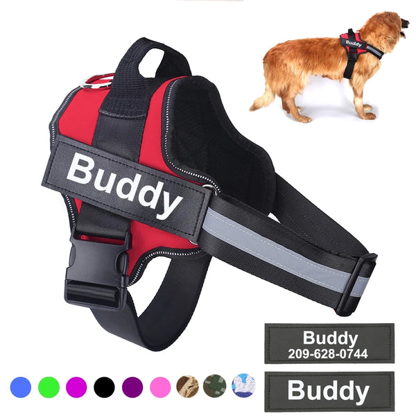 Arnés Personalizado para Perro Pequeños y Grandes